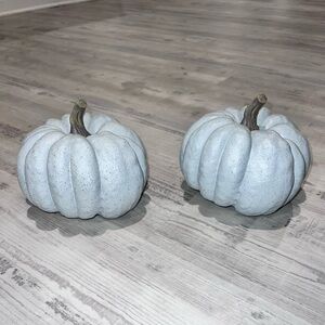 Pair of Gray Pumpkins